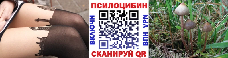 Галлюциногенные грибы ЛСД  Мичуринск 