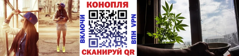 Конопля сатива Мичуринск